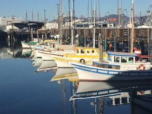 Meet your Posher, Kip